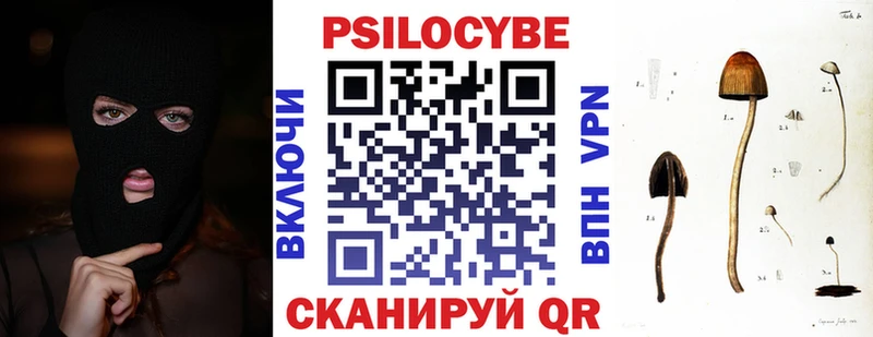 ссылка на мегу рабочий сайт  магазин  наркотиков  Берёзовский  Галлюциногенные грибы GOLDEN TEACHER 